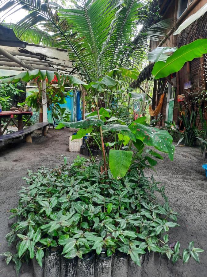 Raices Mompiche Hotel Buitenkant foto