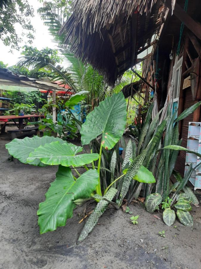 Raices Mompiche Hotel Buitenkant foto