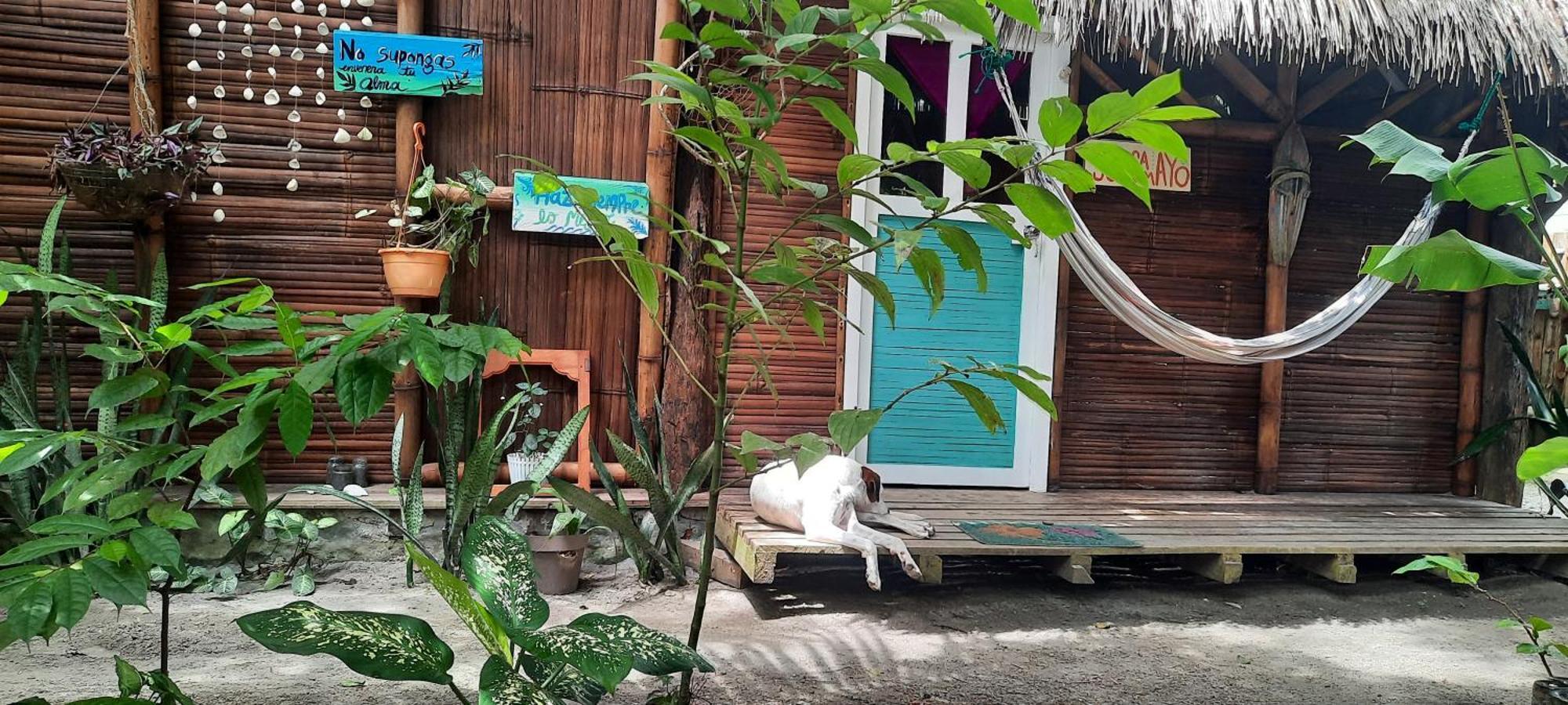 Raices Mompiche Hotel Kamer foto